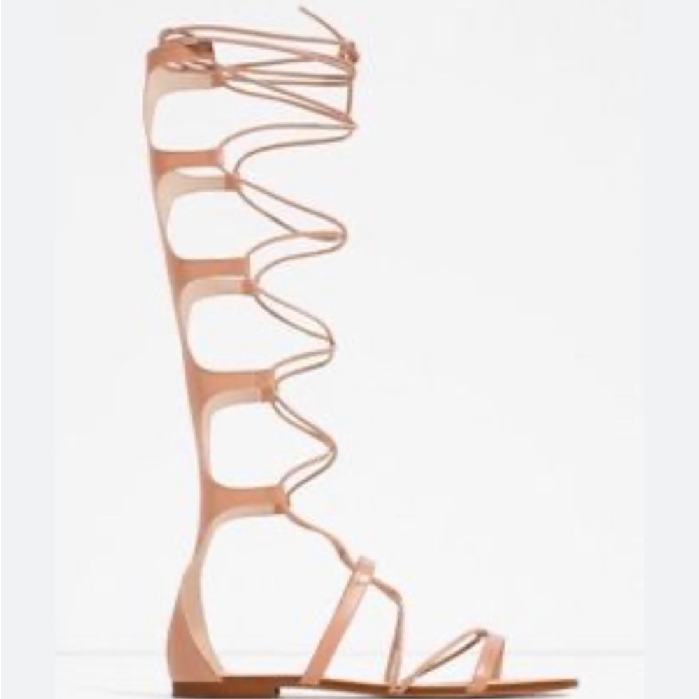 Zara lace up gladiator sandals.